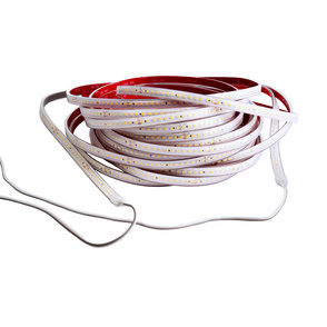 LED Stripes ab IP44 bei Harald Merget Elektrotechnik GmbH in Laufach